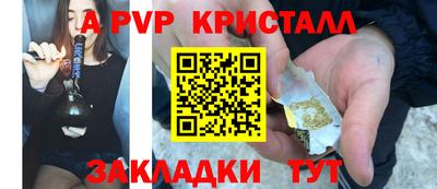 шишки Кинель