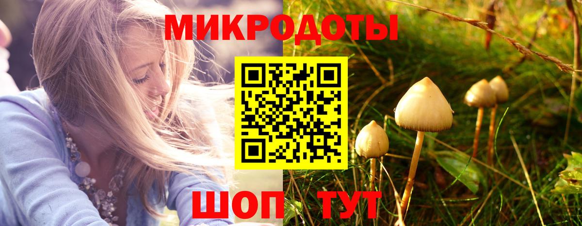Галлюциногенные грибы мухоморы Краснокаменск
